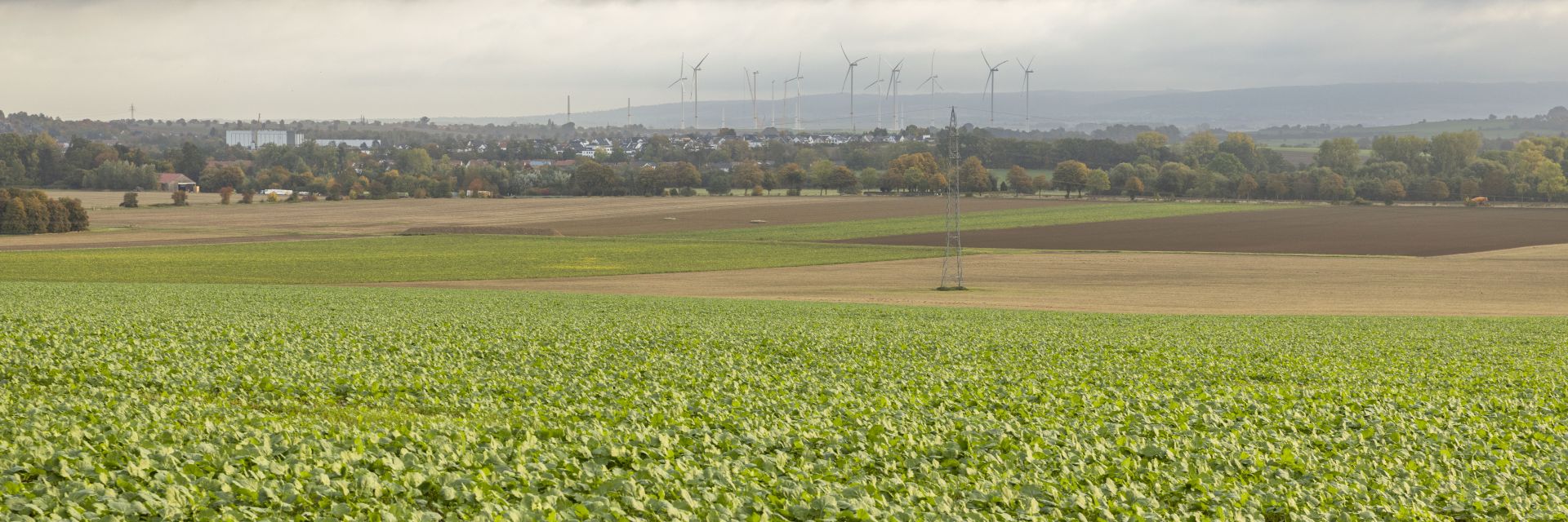 Eine Ansicht auf die Stadt Wolfenbüttel. Weiter hinten ist eine Kirche zu sehen. Im Vordergrund sind Kleingärten zu erkennen.
