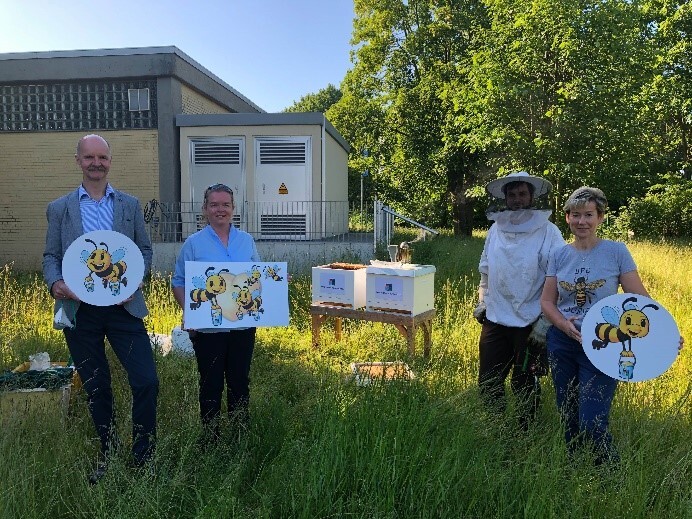 Vier Personen stehen vor den Bienenkästen der Stadtwerke Wolfenbüttel